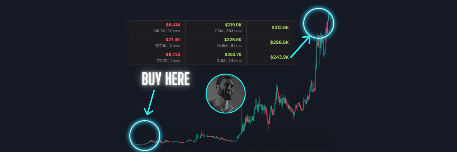 Spot the Right Meme Coins